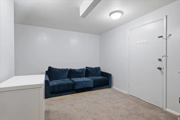 Basement family room