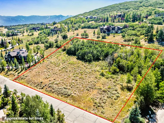 Expansive lot featuring mature trees and natural landscaping