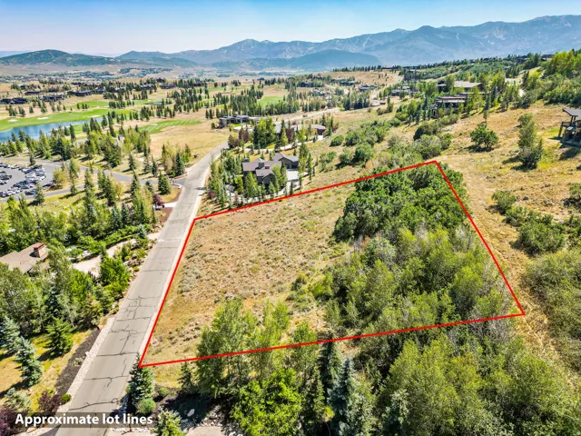 Expansive parcel featuring a mountain backdrop, mature trees, and a partially paved road