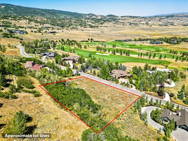 Expansive lot with varied topography and established vegetation