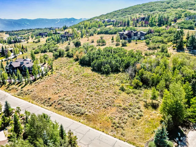 Expansive undeveloped land with a paved road frontage, surrounded by mature trees, and featuring mountain scenery