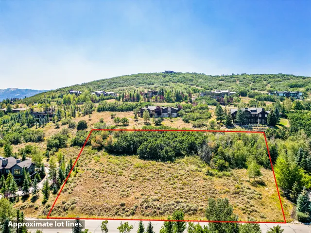 Expansive undeveloped lot with varied terrain and mature trees