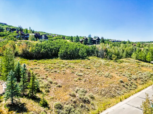 Expansive hillside lot with mature evergreen and deciduous tree coverage, gently sloping terrain, and distant custom home architecture visible along the ridge