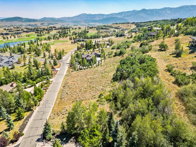 Expansive natural landscape featuring lush trees and open terrain