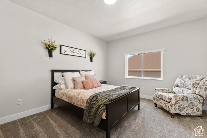 Carpeted room featuring a single window, overhead lighting, light-colored walls, and white baseboards