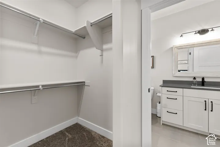 Walk-in closet featuring multiple shelves and hanging rods, with carpeting
