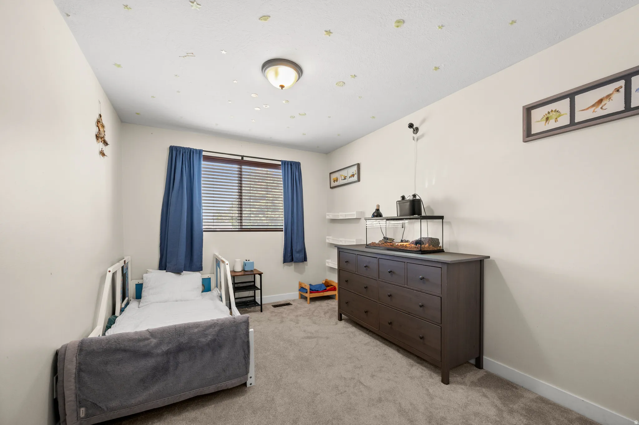 Light-filled room featuring carpeted flooring and neutral wall tones
