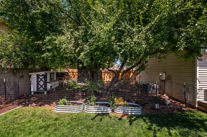 Expansive backyard featuring a mature shade tree, manicured lawn, and raised garden beds