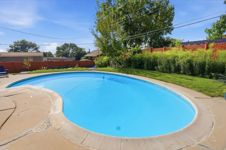 Freeform swimming pool with a concrete surround, surrounded by a lawn area and mature perimeter plantings