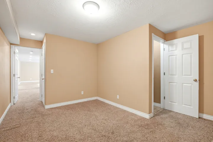 Carpeted flooring, neutral wall paint, white trim, overhead lighting, and paneled doors