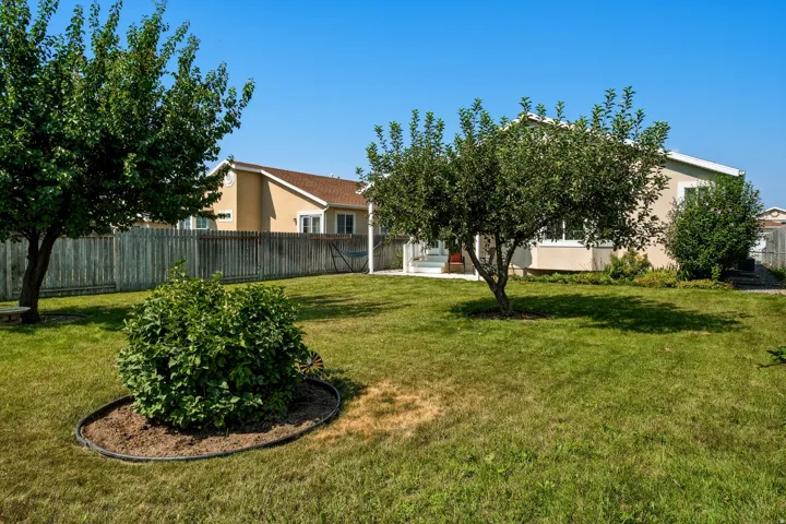 Expansive lawn with mature trees and a privacy fence