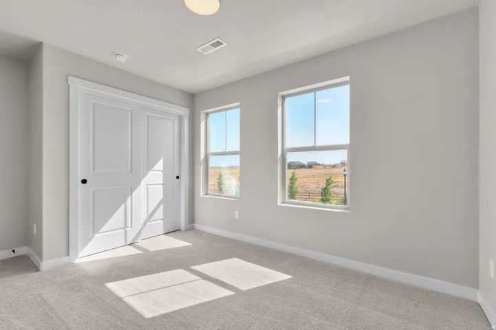 Neutral wall paint, two paneled closet doors with black hardware, two double-hung windows, and light gray carpeting