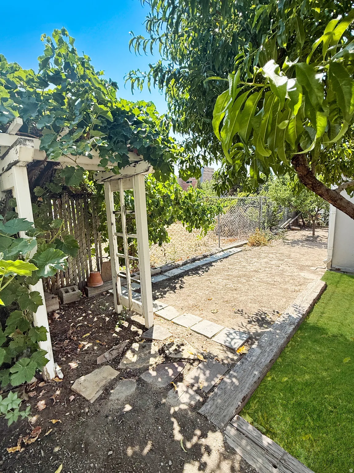 Outdoor space featuring a white pergola with lush green vines, stepping stone pathway, and a mature fruit tree