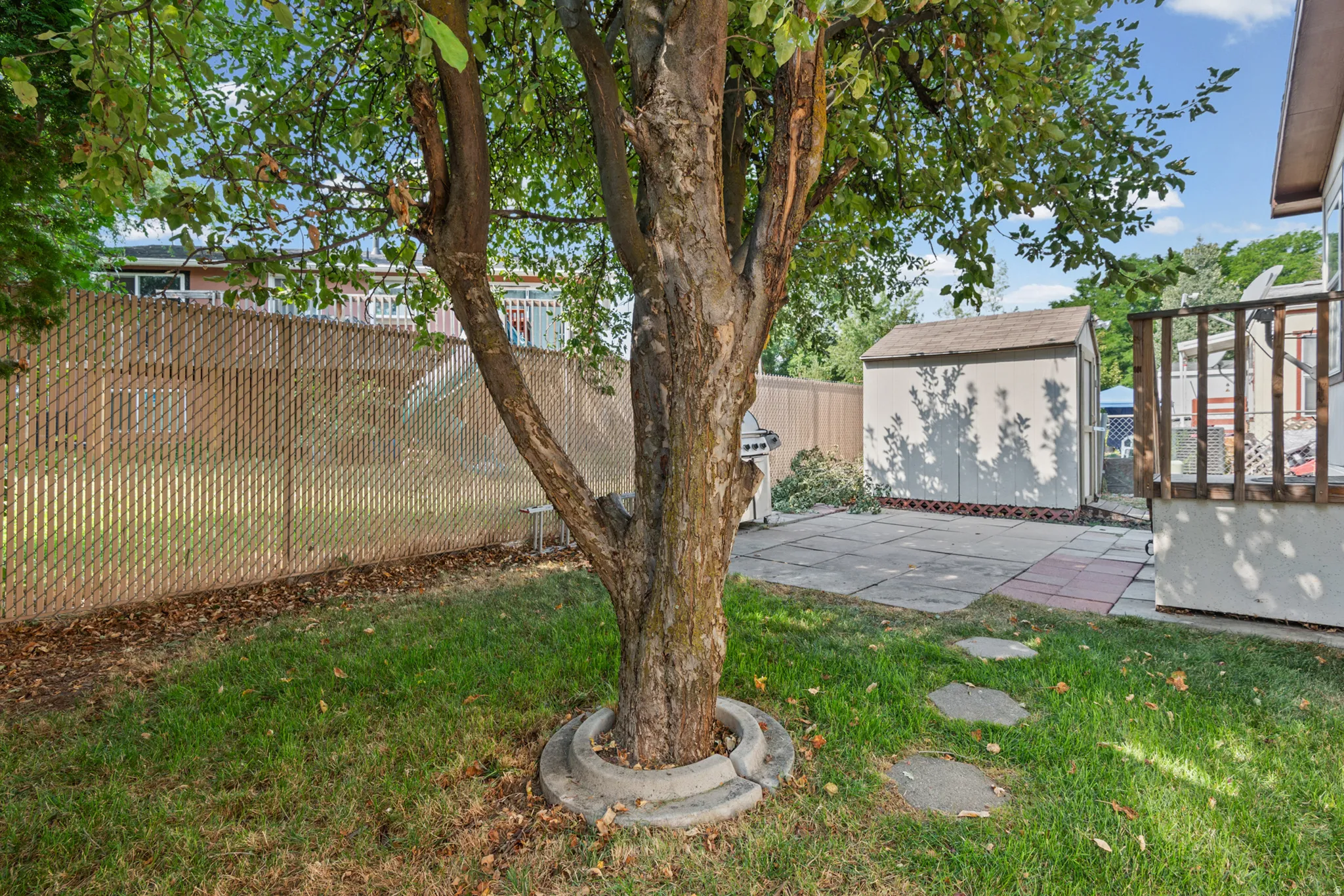 Backyard featuring a mature tree, concrete patio, lawn, and a storage shed