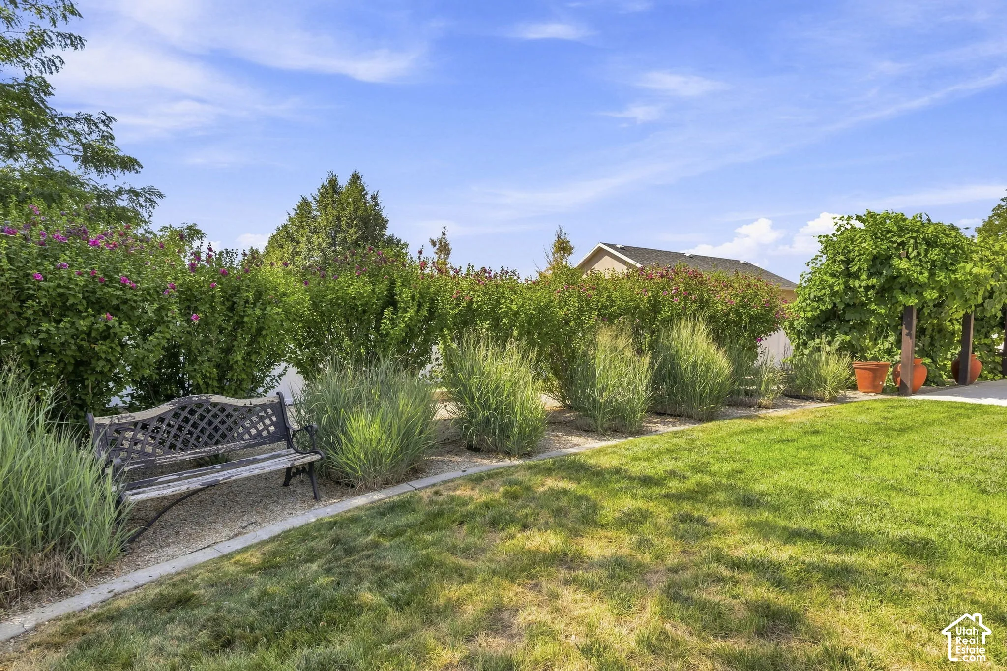 Expansive lawn area bordered by diverse planted shrubbery