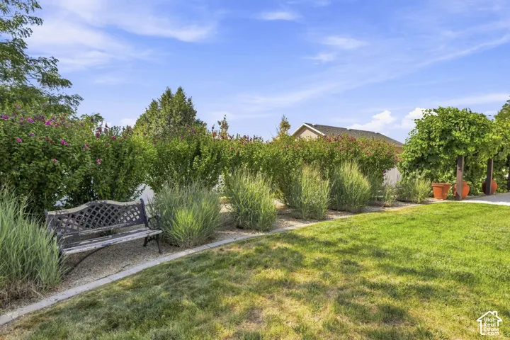 Expansive lawn area bordered by diverse planted shrubbery