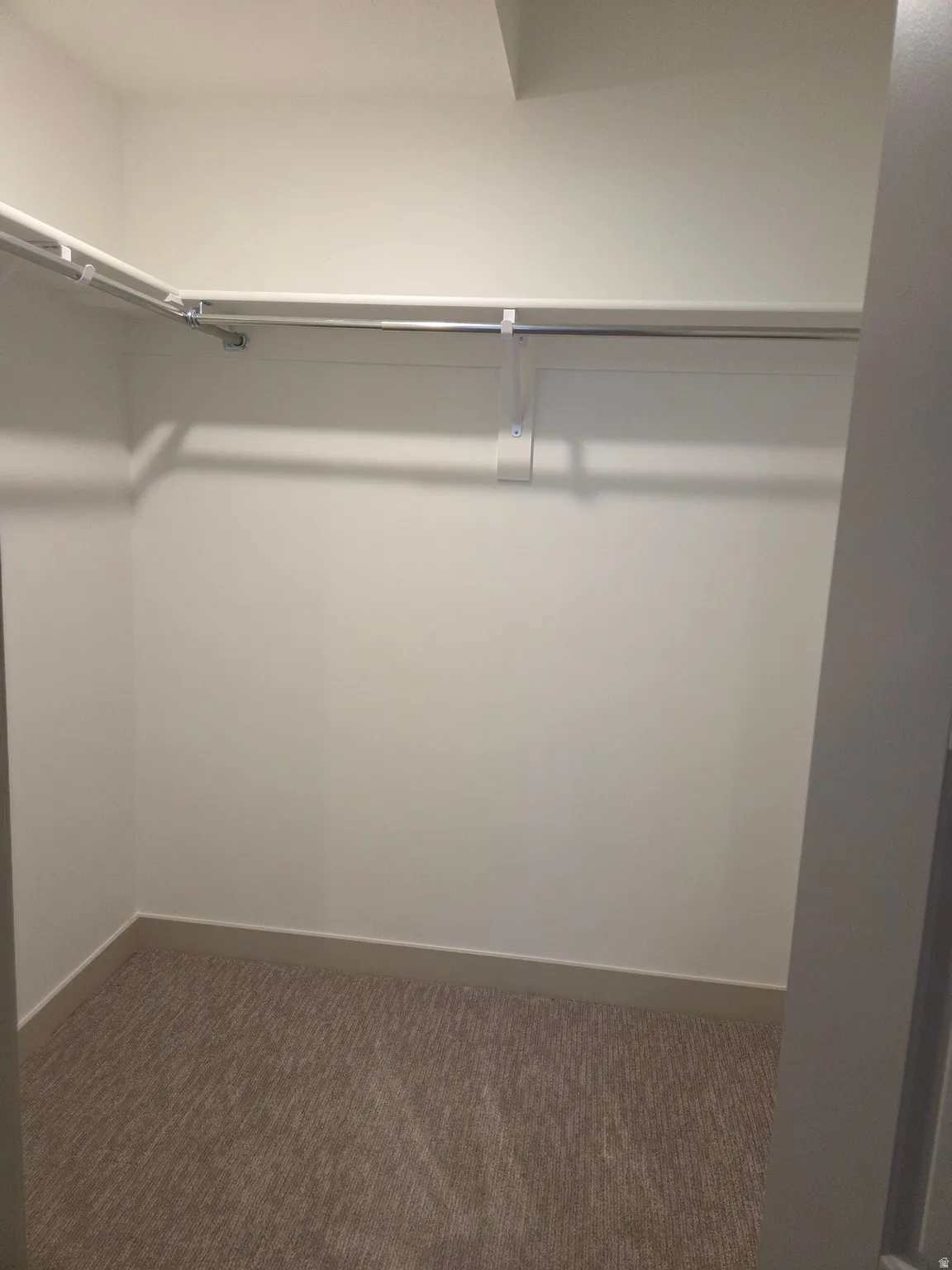 Walk-in closet featuring wall-mounted shelving, chrome hanging rods, and carpet flooring