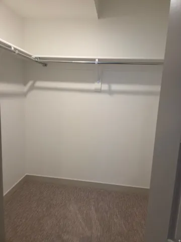 Walk-in closet featuring wall-mounted shelving, chrome hanging rods, and carpet flooring