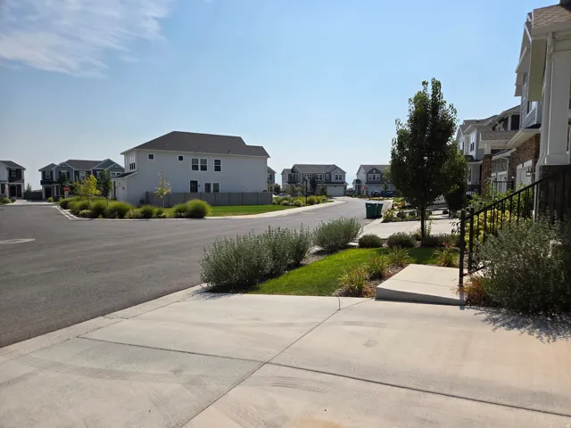 Concrete driveway with an integrated sidewalk and a landscaped front yard featuring mature shrubs and a young tree