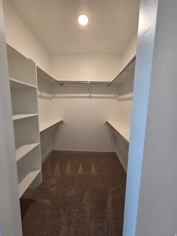 Walk-in closet with integrated shelving, ample hanging rods, and recessed lighting