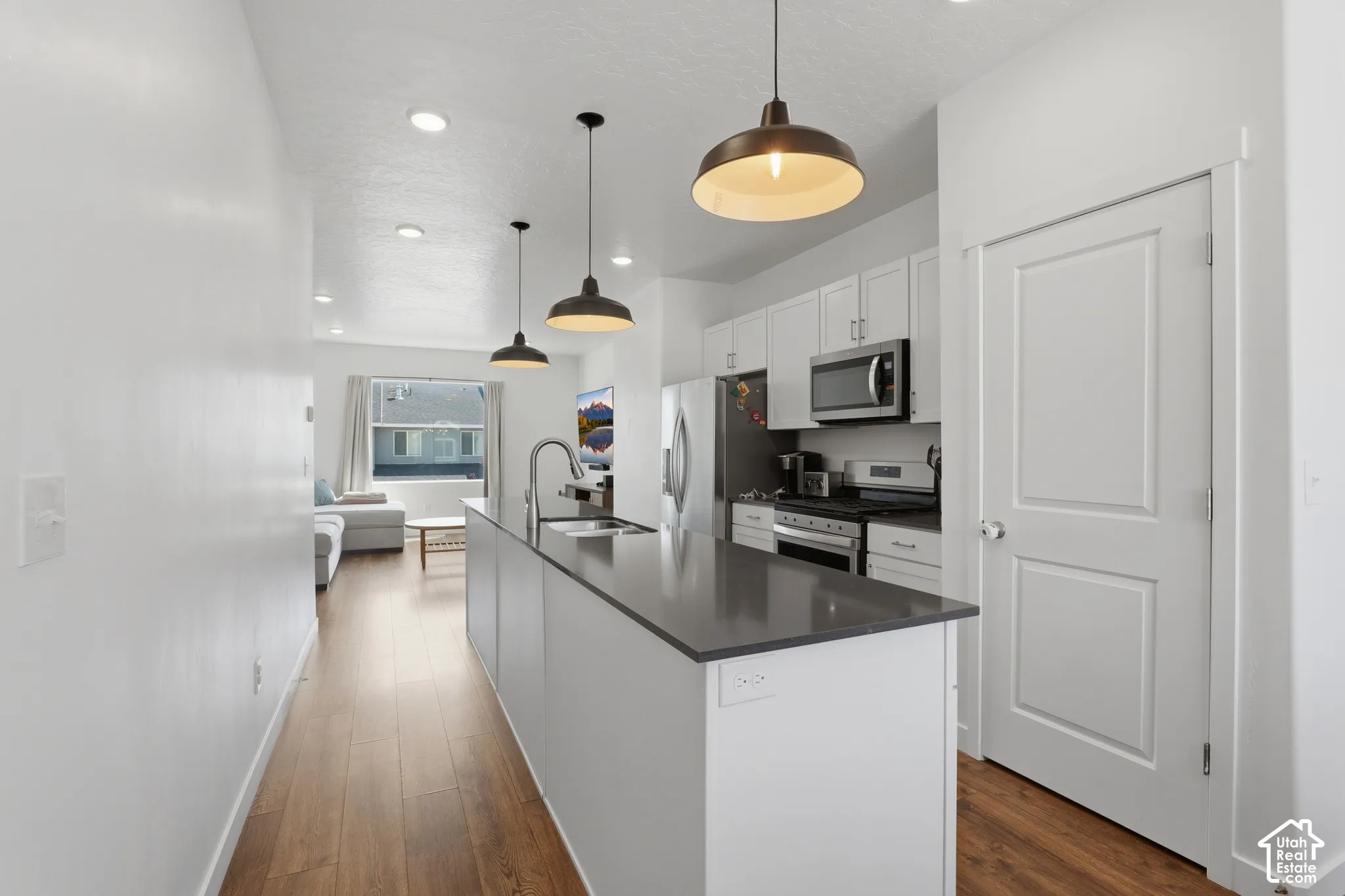 Open-concept kitchen with a large island, stainless steel appliances, white cabinetry, and wood-finish flooring