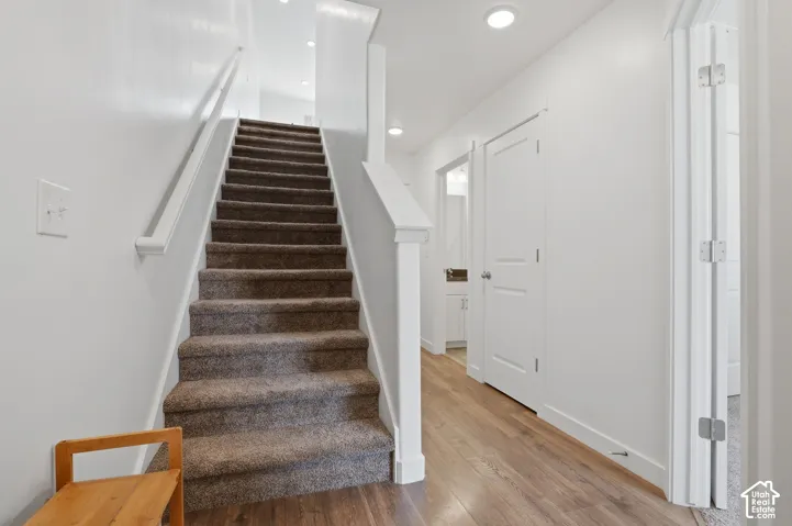 Bright hallway with wide staircase featuring carpeted treads and white painted railings