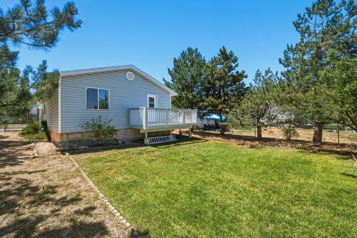 Expansive backyard featuring a manicured lawn, gravel path, and mature evergreen trees