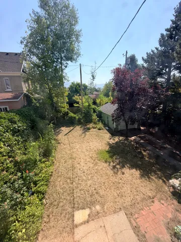 Expansive backyard space with established perimeter foliage, concrete patio, and brick hardscaping
