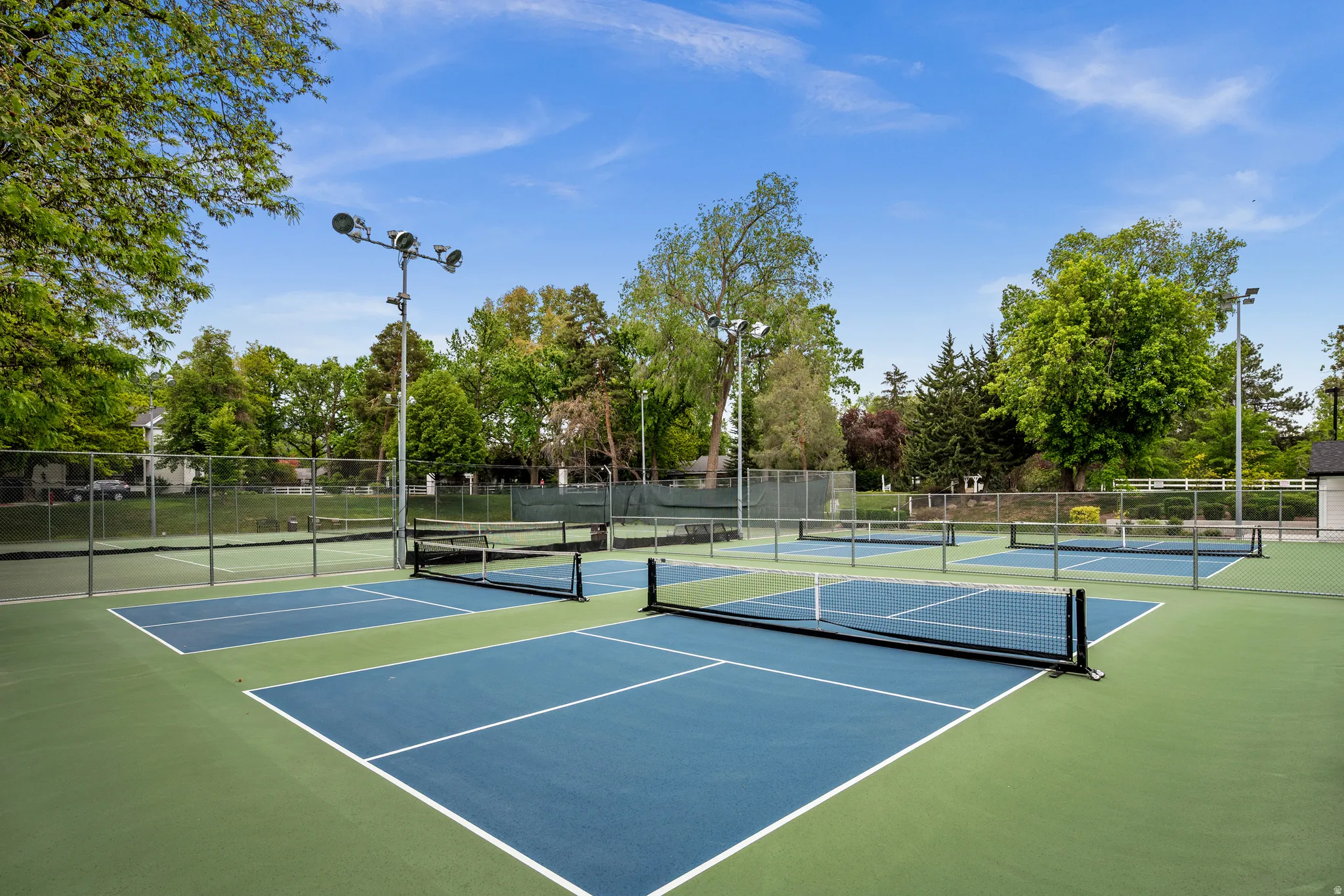 Multiple pickleball courts featuring blue playing surfaces and green surrounds