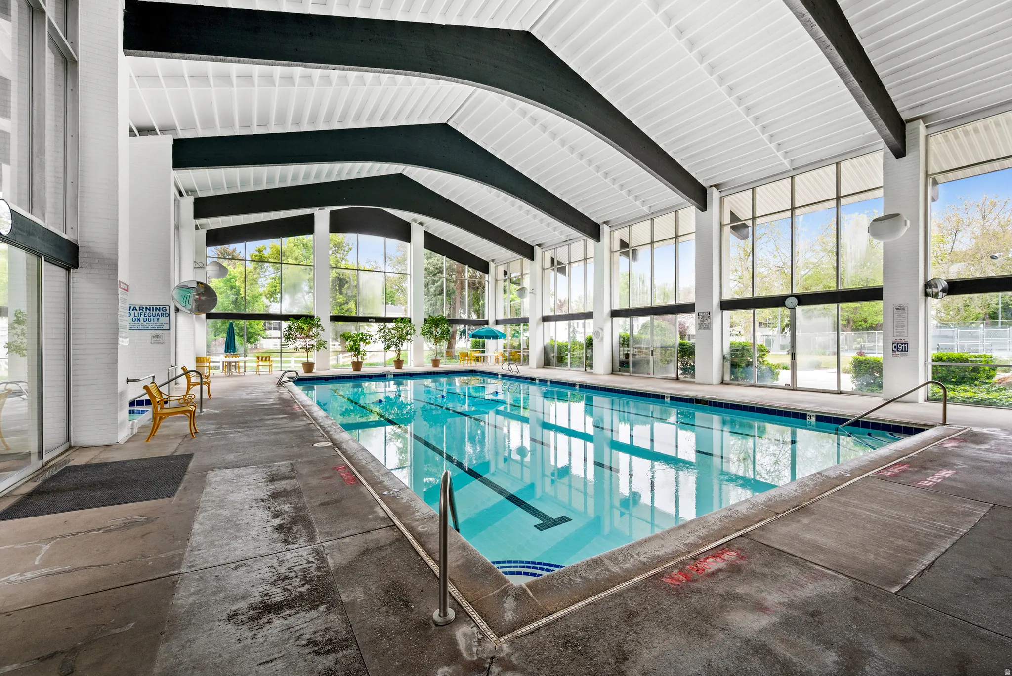Indoor swimming pool with full-height windows, a white tongue-and-groove ceiling, and dark exposed beams