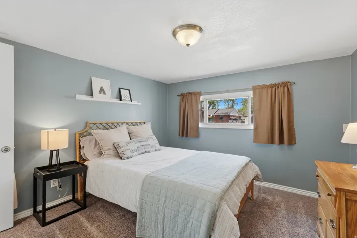Carpeted flooring, single window, wall-mounted shelf, flush mount ceiling light fixture