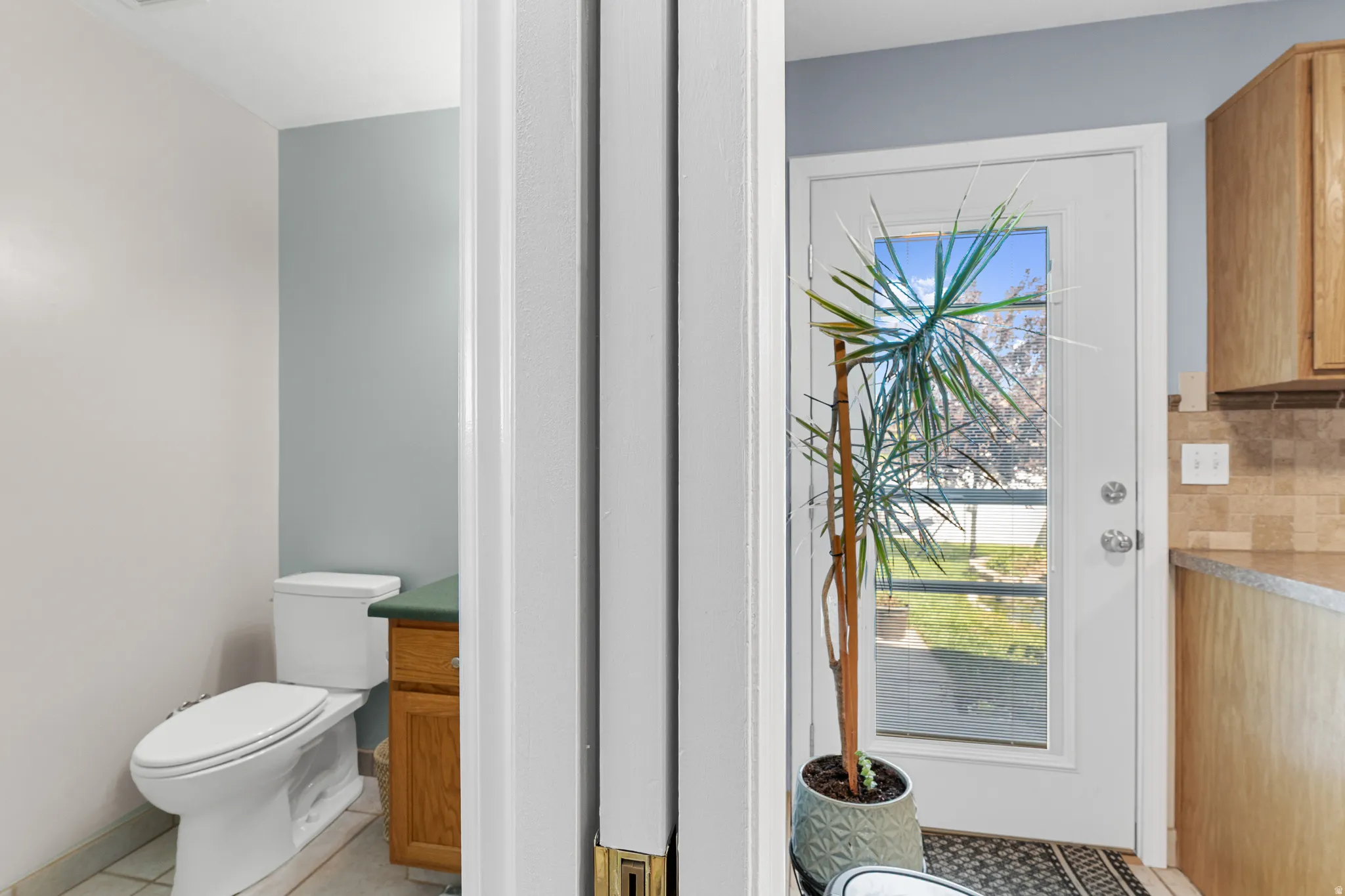Light-colored walls, white toilet, and wood-finish cabinetry with a green countertop