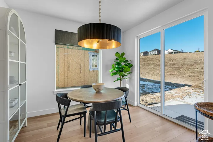 Sliding glass patio doors, wood-finish flooring, and a contemporary drum pendant light