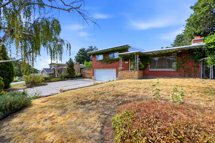 Brick exterior with climbing greenery accents