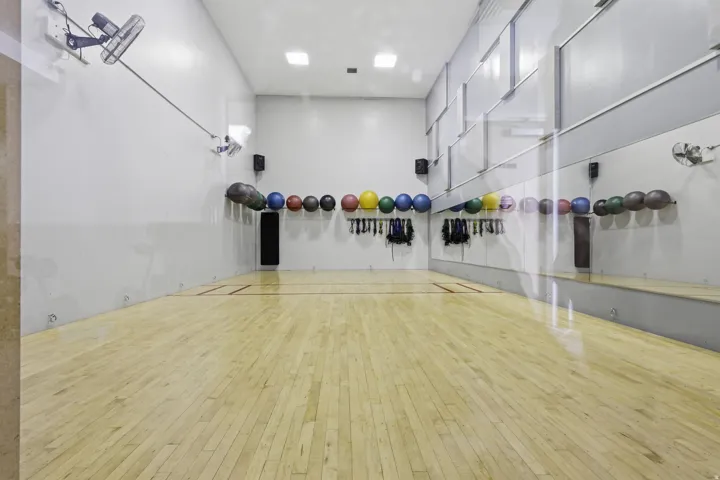State-of-the-art fitness studio featuring pristine wood-finish flooring, mirrored wall panels, professional recessed and track lighting, and comprehensive equipment storage with medicine balls and resistance gear mounted along the perimeter walls