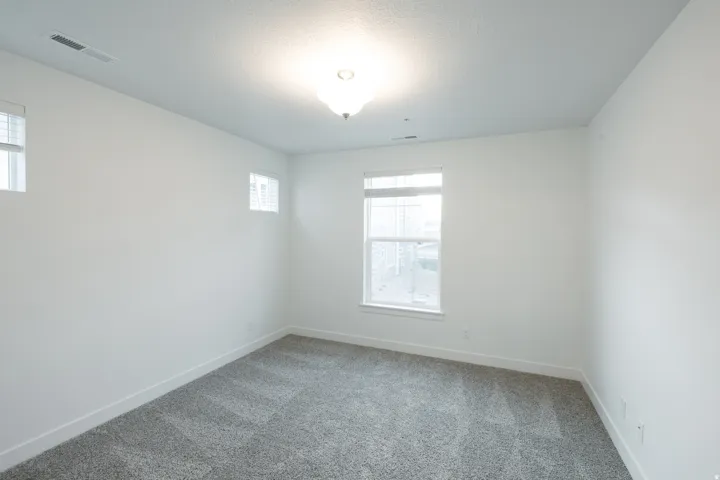 Neutral wall color, carpet flooring, multiple windows, overhead light fixture