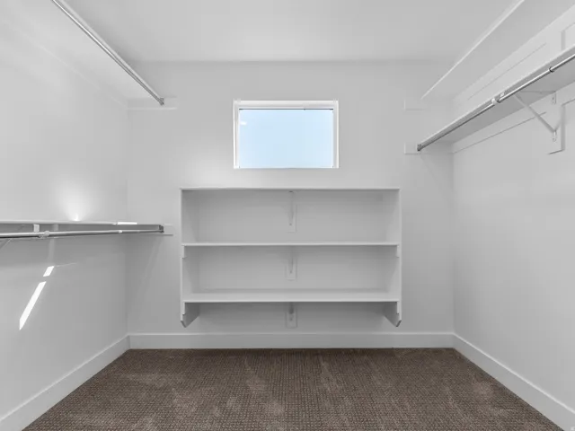 White built-in shelving, white walls, carpet flooring, and a window for natural light