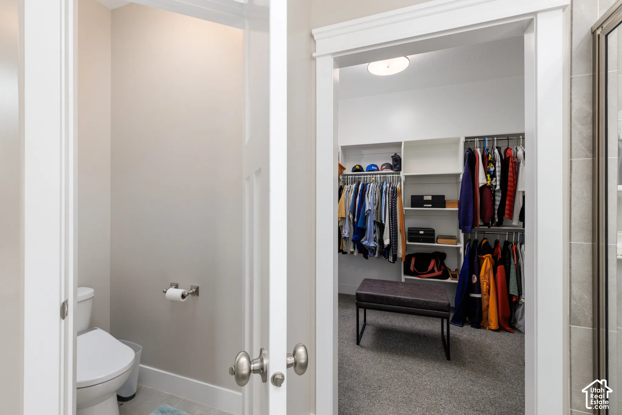 Walk-in closet with built-in shelving and clothing rods