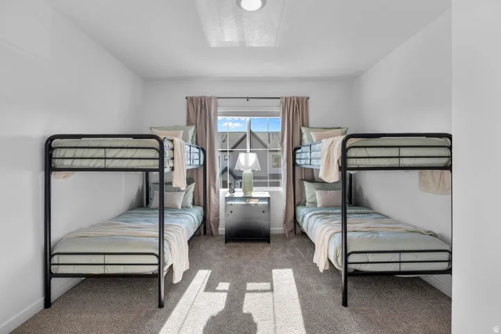 Window with neutral drapery, central ceiling light fixture, and carpeted flooring