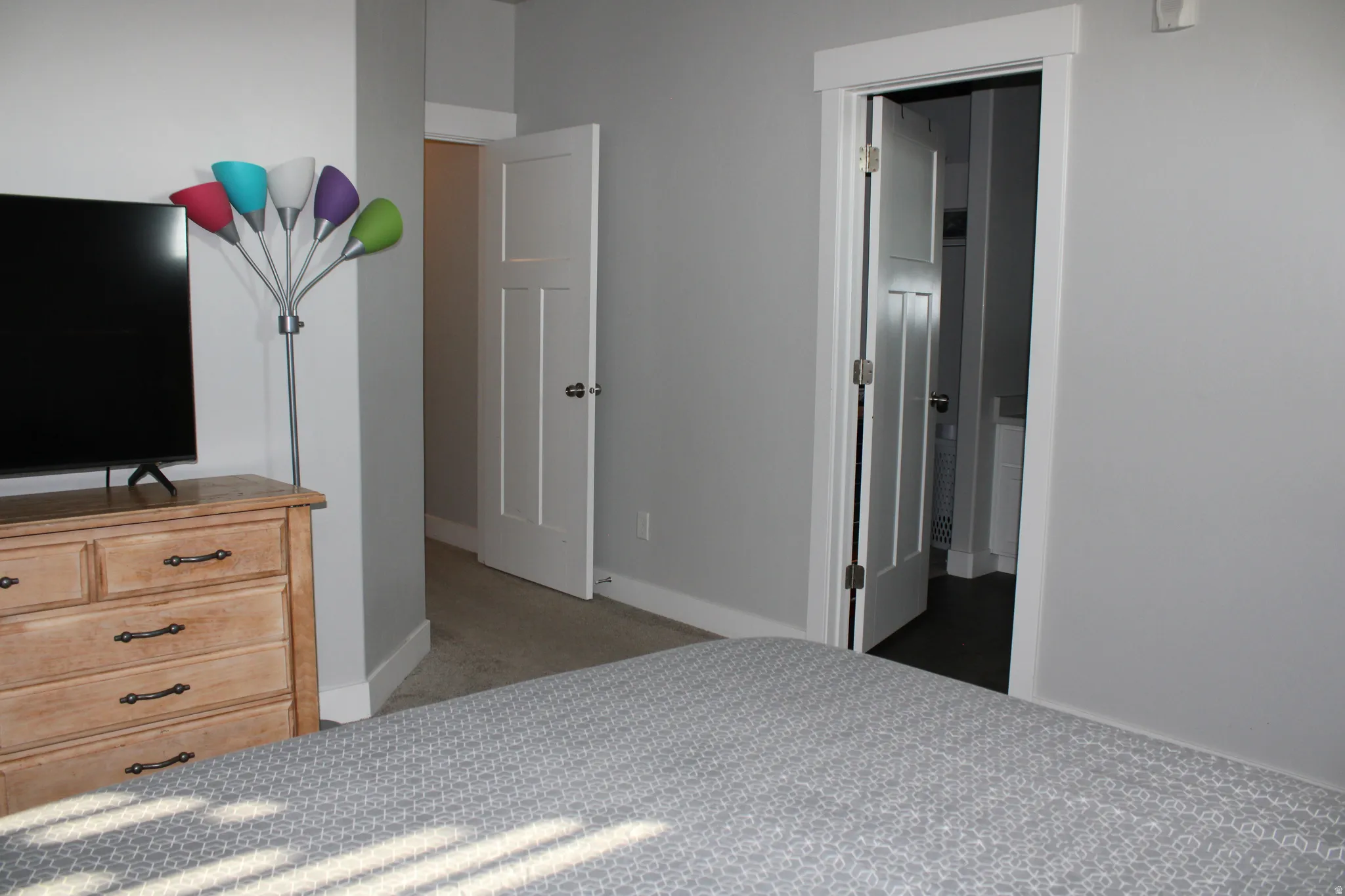 Light gray wall paint, white trim, and white interior doors