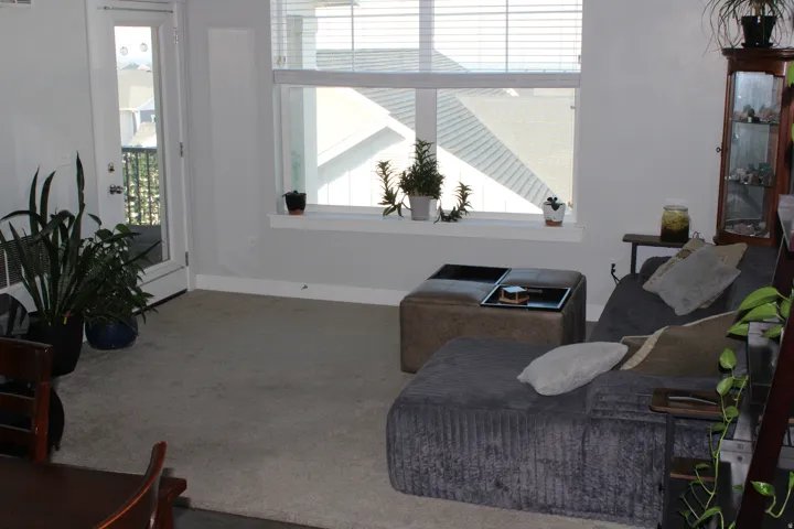 Living area featuring a large window, light gray wall color, and carpeted flooring