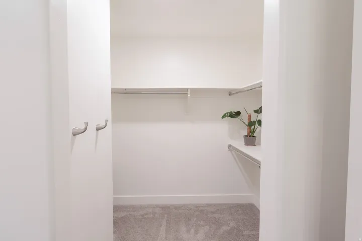 Spacious closet with white shelving, chrome hanging rods, and light gray carpeting