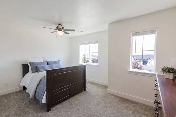 Plush carpet flooring, a ceiling fan with integrated lighting, and multiple windows providing natural light
