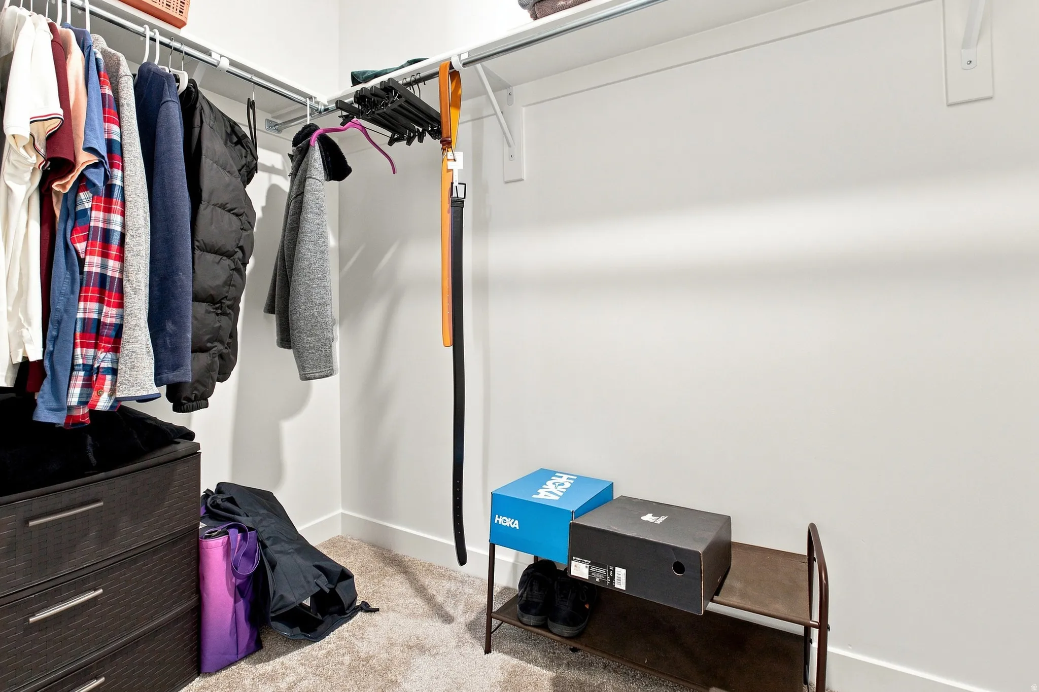 Walk-in closet with built-in shelving, hanging rods, and carpet flooring