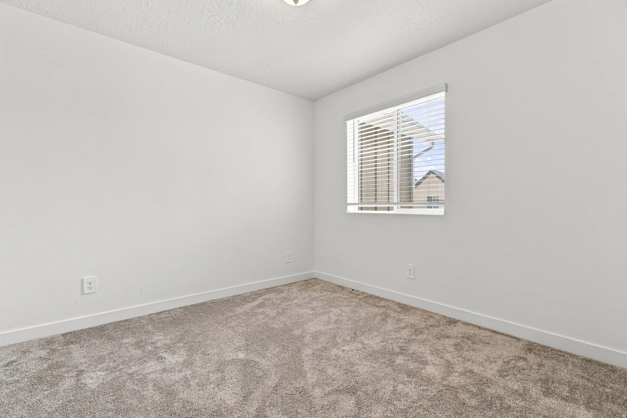 Plush carpet flooring, neutral wall tones, and a window with blinds