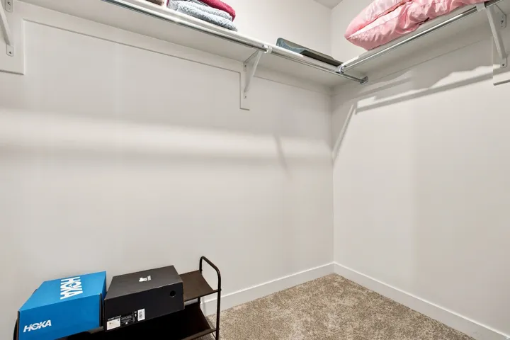 Carpeted flooring, white walls, and built-in closet shelving