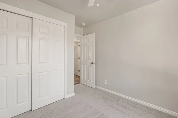 Light gray carpeting with white trim