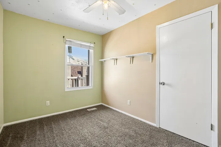 Plush carpeted flooring, a ceiling fan with light fixture, and two-tone wall finishes