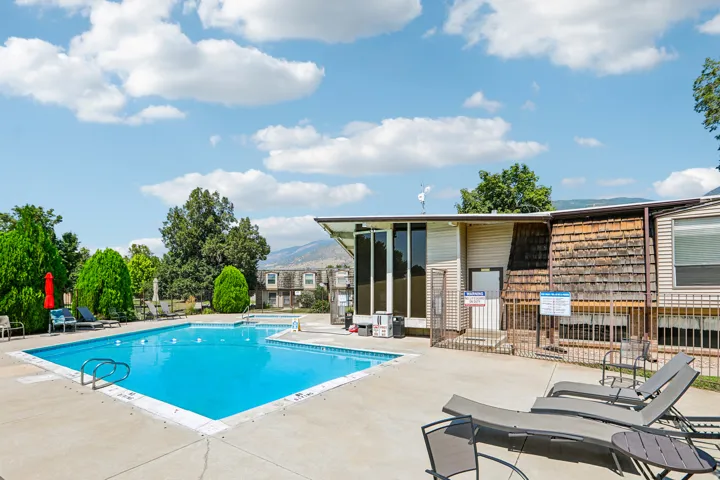 Outdoor swimming pool with concrete decking