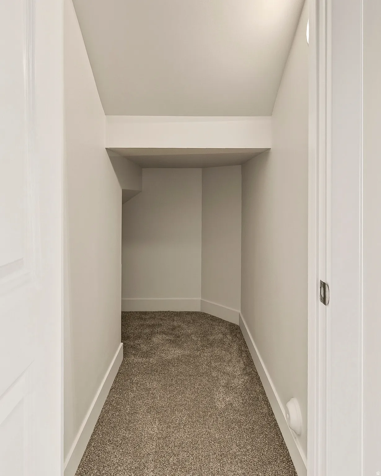 Recessed storage area featuring neutral carpeting and white wall finishes